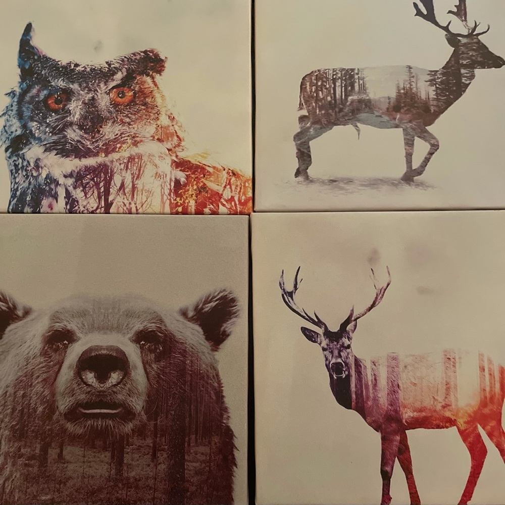 Beautiful canvas painting set
